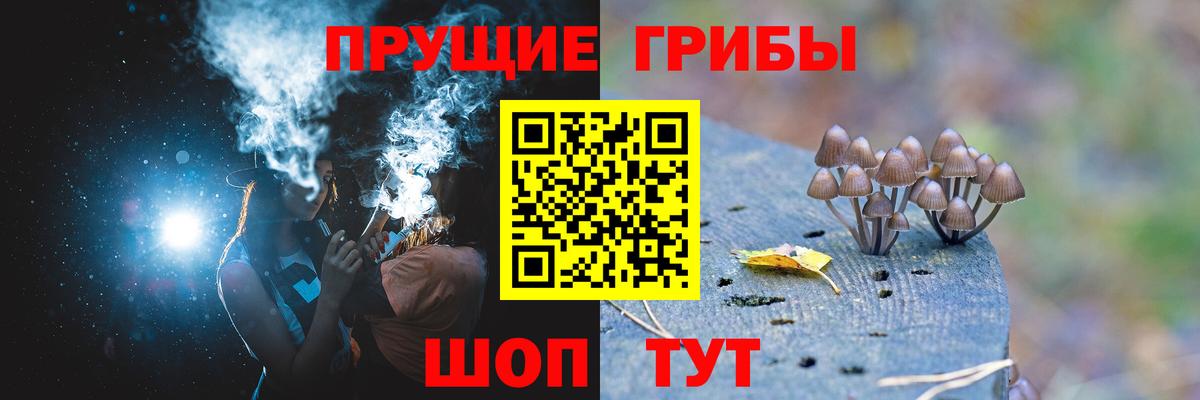 Шали  Галлюциногенные грибы MAGIC MUSHROOMS  Вход с VPN 